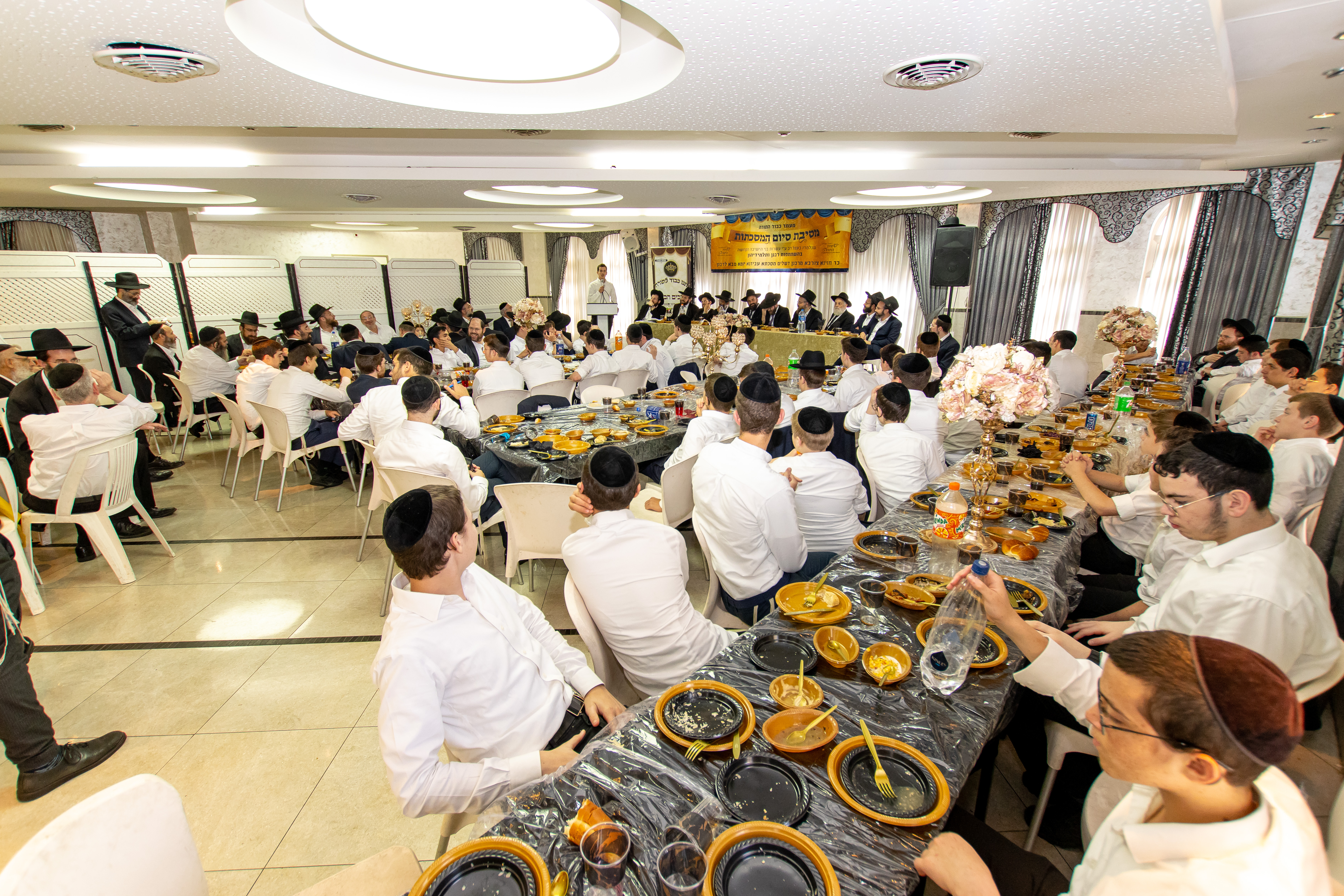 תמונה 102